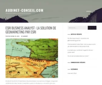 Audinet-Conseil.com(Conseils pour votre business et bien plus encore) Screenshot