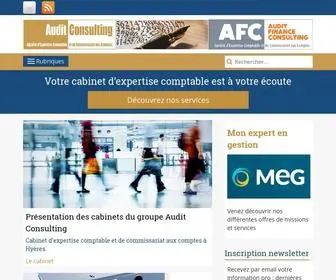 Auditconsulting.com(AUDIT CONSULTING) Screenshot