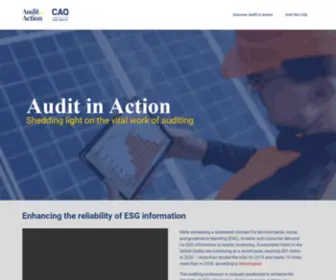 Auditinaction.org(Audit In Action) Screenshot