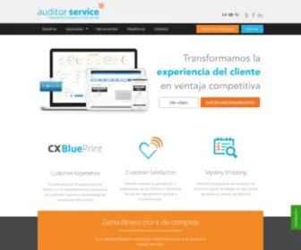 Auditorservice.com(Auditor Service) Screenshot