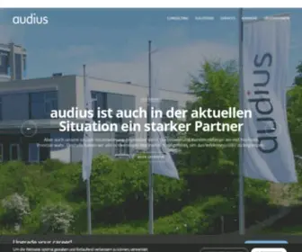 Audius.de(IT-Dienstleistungen und Software für Unternehmen) Screenshot