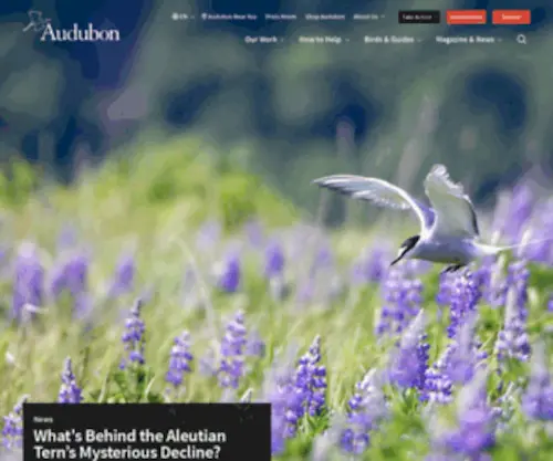 Audobon.org(National Audubon Society) Screenshot