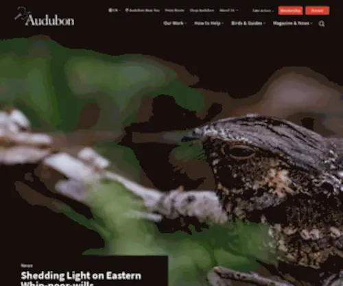 Audubon.com(Audubon) Screenshot