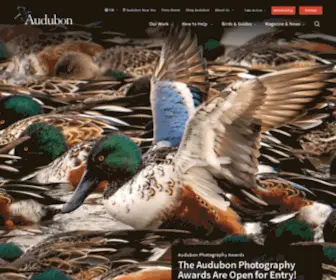 Audubon.org(National Audubon Society) Screenshot