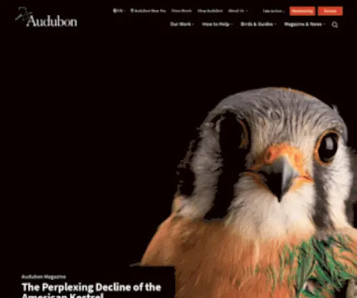 Audubonguides.com(National Audubon Society) Screenshot