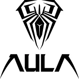 Aulaindia.com Favicon