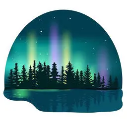 Auroralightslodge.com Favicon