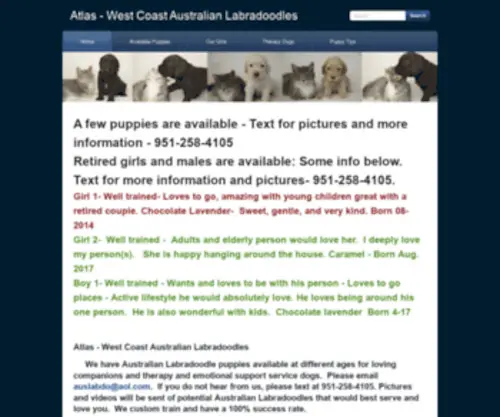 Auslabradoodle.com(West Coast Australian Labradoodles For Sale) Screenshot