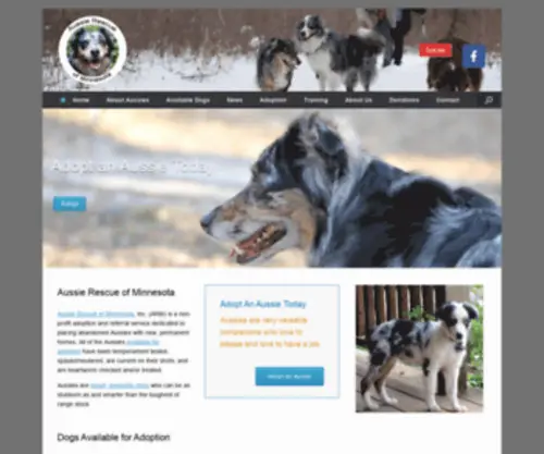 Aussierescuemn.org(Aussie Rescue of Minnesota) Screenshot