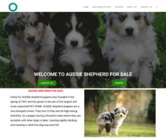 Aussieshepherdforsale.com(AUSSIE PUPPIES) Screenshot