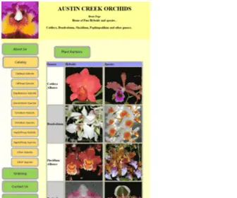 Austincreekorchids.com(Austin Creek Orchids) Screenshot