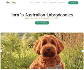 Australian-Labradoodles.co.uk(Bot Verification) Screenshot