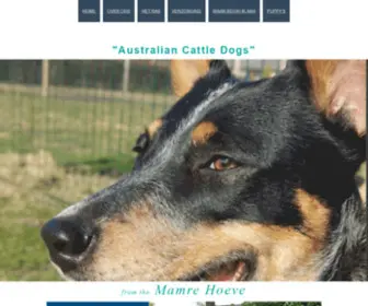 Australiancattledogs.be(Australiancattledogs) Screenshot