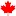 Authenticcanadiens.com Favicon