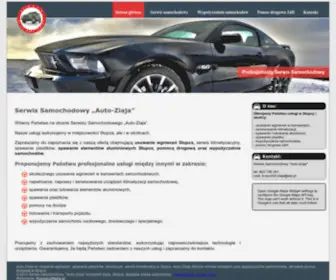 Auto-Ziaja.pl(Auto Ziaja) Screenshot