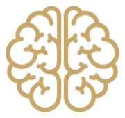 Automasstrafficonline.com Favicon
