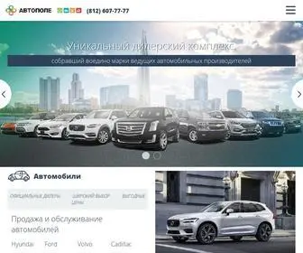 Autopole.ru(АВТОПОЛЕ в Санкт) Screenshot