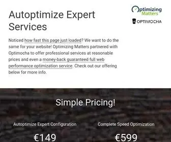 Autoptimize.com(Autoptimize Pro Services) Screenshot