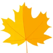 Autumnstreet.com.au Logo