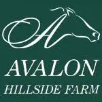 Avalon-HF.com Favicon