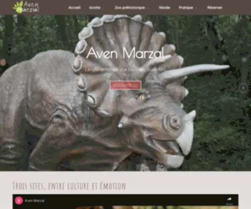 Aven-Marzal.com(Aven Marzal) Screenshot