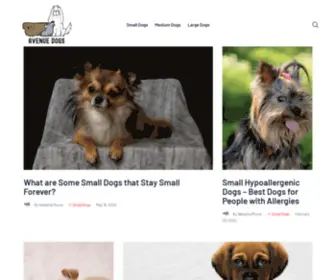 Avenuedogs.com(Avenue Dogs) Screenshot