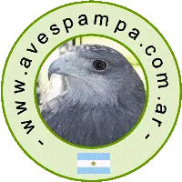 Avespampa.com.ar Favicon