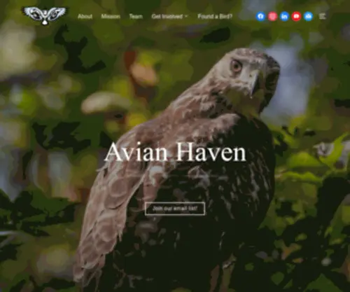 Avianhaven.org(Avian Haven) Screenshot
