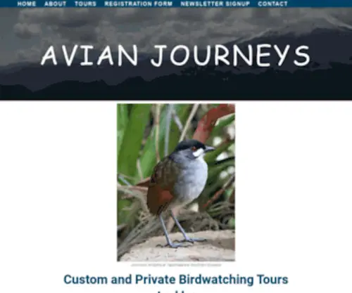 Avianjourneys.com(AVIAN JOURNEYS) Screenshot