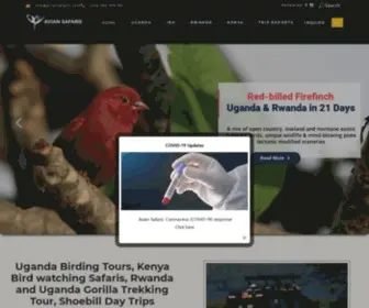 Aviansafaris.com(Uganda Birding Tours) Screenshot