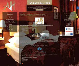 Aviatorhotel.com.pl(Hotel AVIATOR Radom) Screenshot