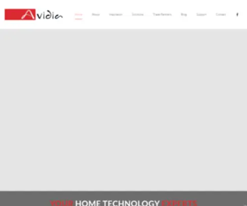 Avidiaonline.com(Home Automation Company) Screenshot