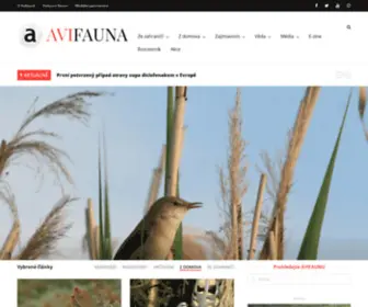 Avifauna.cz(Český online magazín o ptácích) Screenshot