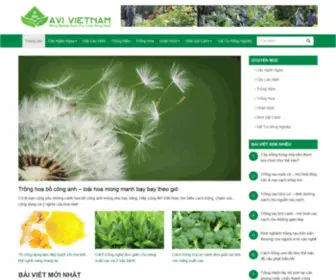 Avi.org.vn(AVi Việt Nam) Screenshot