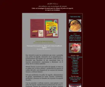 Avipunta.com(Avipunta) Screenshot