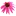 Avogel.es Favicon