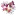 Avsflowers.com Favicon