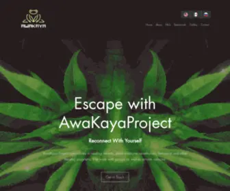 Awakayaproject.com(Kambo in Tulum Mexico. Kambo) Screenshot