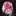 Awake-Planner.com Favicon