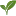 Awanursery.co.nz Favicon