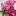 Awesomehomegardening.com Favicon