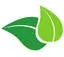 Awsomlife.com Favicon
