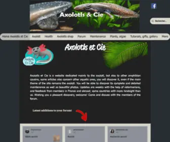 Axolotls-Cie.com(Décors) Screenshot