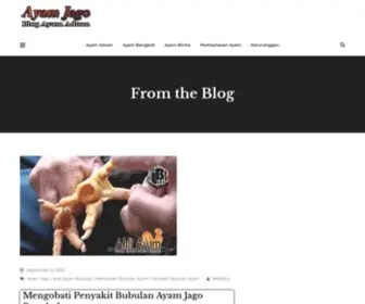 Ayamjago.site(Blog Ayam Aduan Bangkok Terbaik Di Indonesia) Screenshot