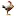 Ayamkampungku.com Logo