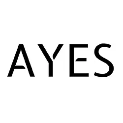 Ayes.cz Favicon