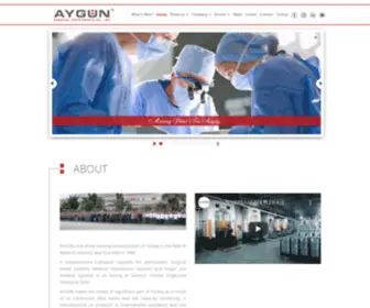 Aygun.com(Aygun Surgical Instruments) Screenshot