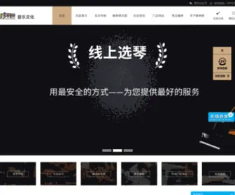 Aysdlm.com(安阳市北关区哆来咪琴行) Screenshot