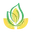 Ayursesha.com Favicon