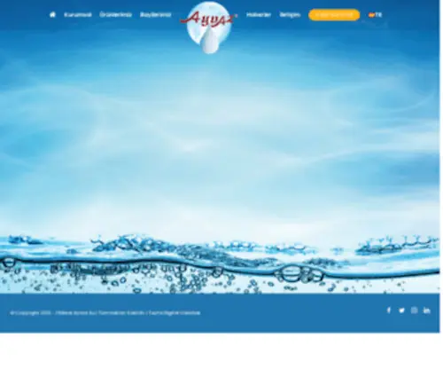 Ayvazsu.com.tr(Ayvaz Su • 1400 Yıllık Şifa Kaynağı) Screenshot